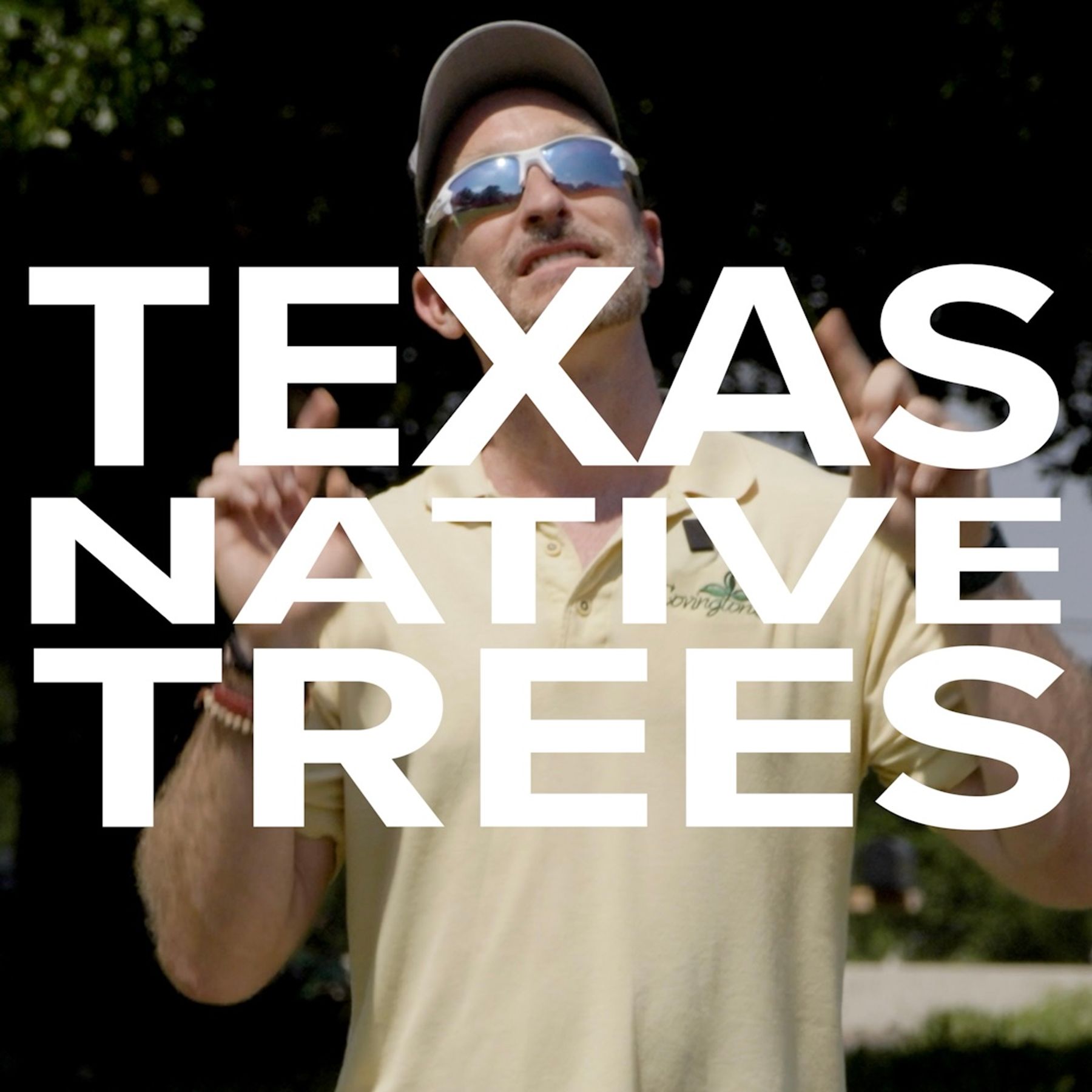 Native Texas Trees: True Natives vs Native Cultivars